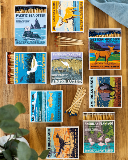 Desert Roadrunner Cabin Matches